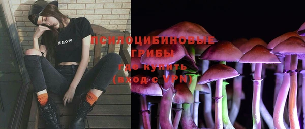 гидра Баксан