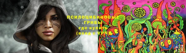 гидра Баксан