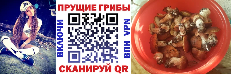 гидра как войти  Теберда  Псилоцибиновые грибы MAGIC MUSHROOMS 